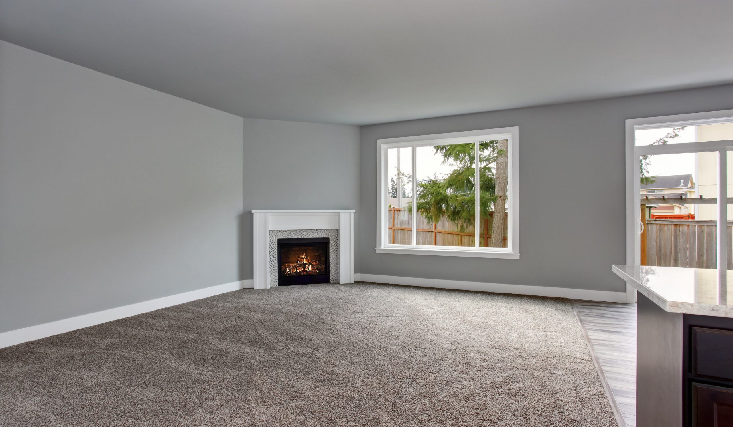 living room with carpet and fireplace