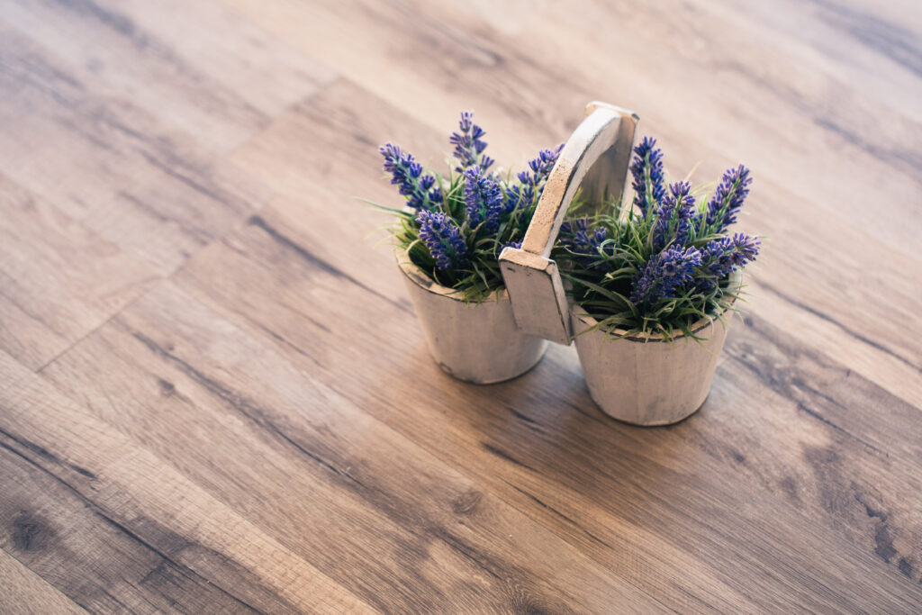 Violet decoration flower in a pot